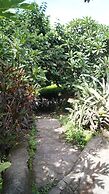 Aroma de Campo