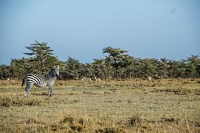 Mutara Camp