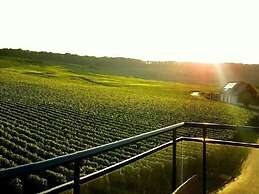 Dans Les Vignes