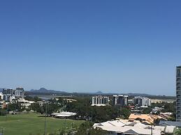 Verve on Cotton Tree