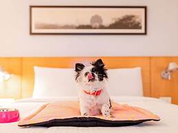ibis Chennai City Centre Hotel