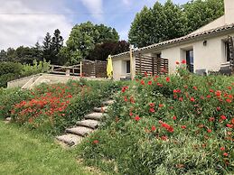 Les Ânes de Forcalquier