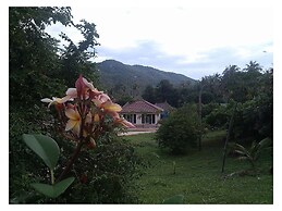 The Best Hostel