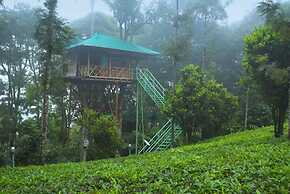 Dream Catcher Plantation Resort