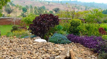 Palm Valley Lodge