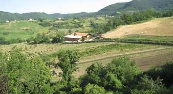 Agriturismo Ca' De Figo