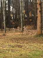 Pinewood Inn