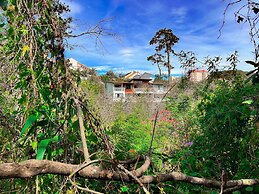 Hong Mon Villa