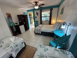 All Seasons Belize