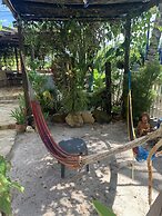 All Seasons Belize