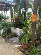 All Seasons Belize