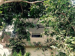 Dionis Villa