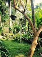 Dionis Villa