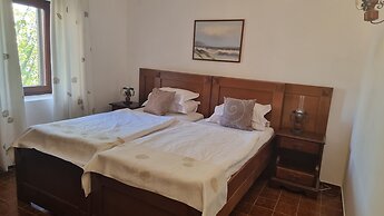 Palata Venezia