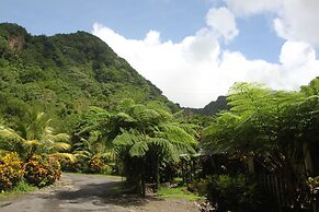 Natty Tropical Valley