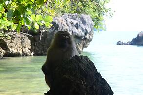 Little Home Ao Nang
