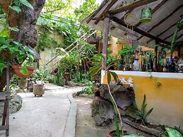 Casitas Kinsol
