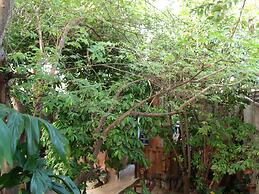 Casitas Kinsol