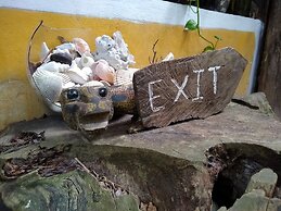Casitas Kinsol