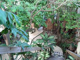 Casitas Kinsol