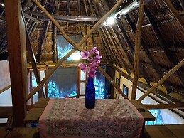 Casitas Kinsol