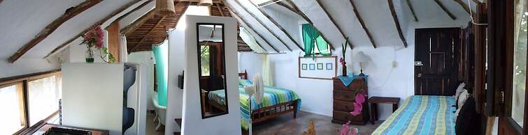 Casitas Kinsol