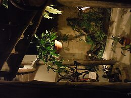 Casitas Kinsol