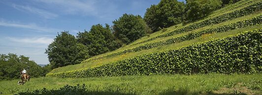 Quinta do Fontelo