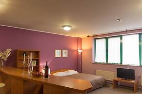 Master Hotel Kotelniki
