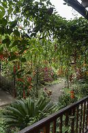 Mindo Green House