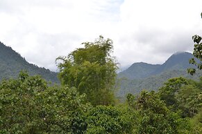 Mindo Green House