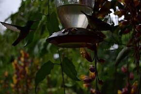 Mindo Green House
