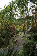 Mindo Green House