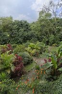 Mindo Green House