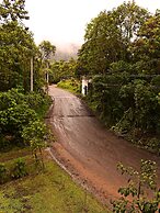 Mindo Green House