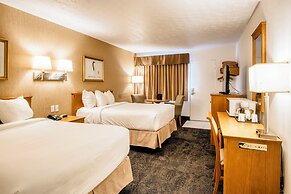 Motel Mistral
