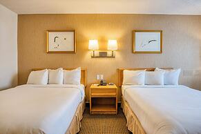 Motel Mistral