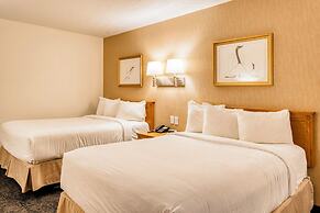 Motel Mistral