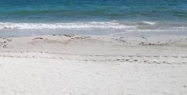 Little Paradise