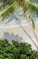 Little Paradise