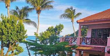 Little Paradise