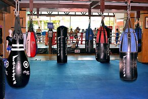 Fairtex Express