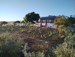 Quinta Sofia Valle de Guadalupe