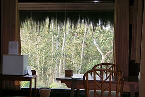 Samboja Lodge
