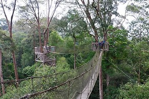 Samboja Lodge