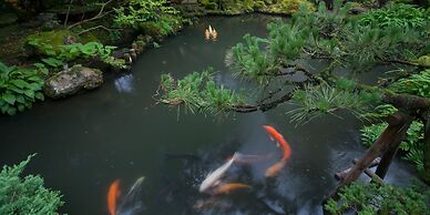 Houshi