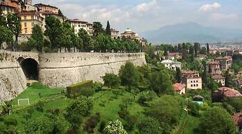 Donizetti Royal