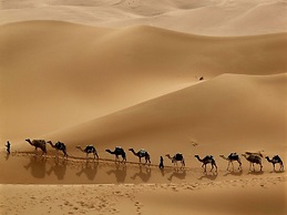 La Dune Blanche