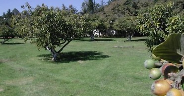 Hotel Rancho las Margaritas