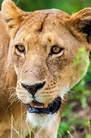 Kananga Special Tented Camp